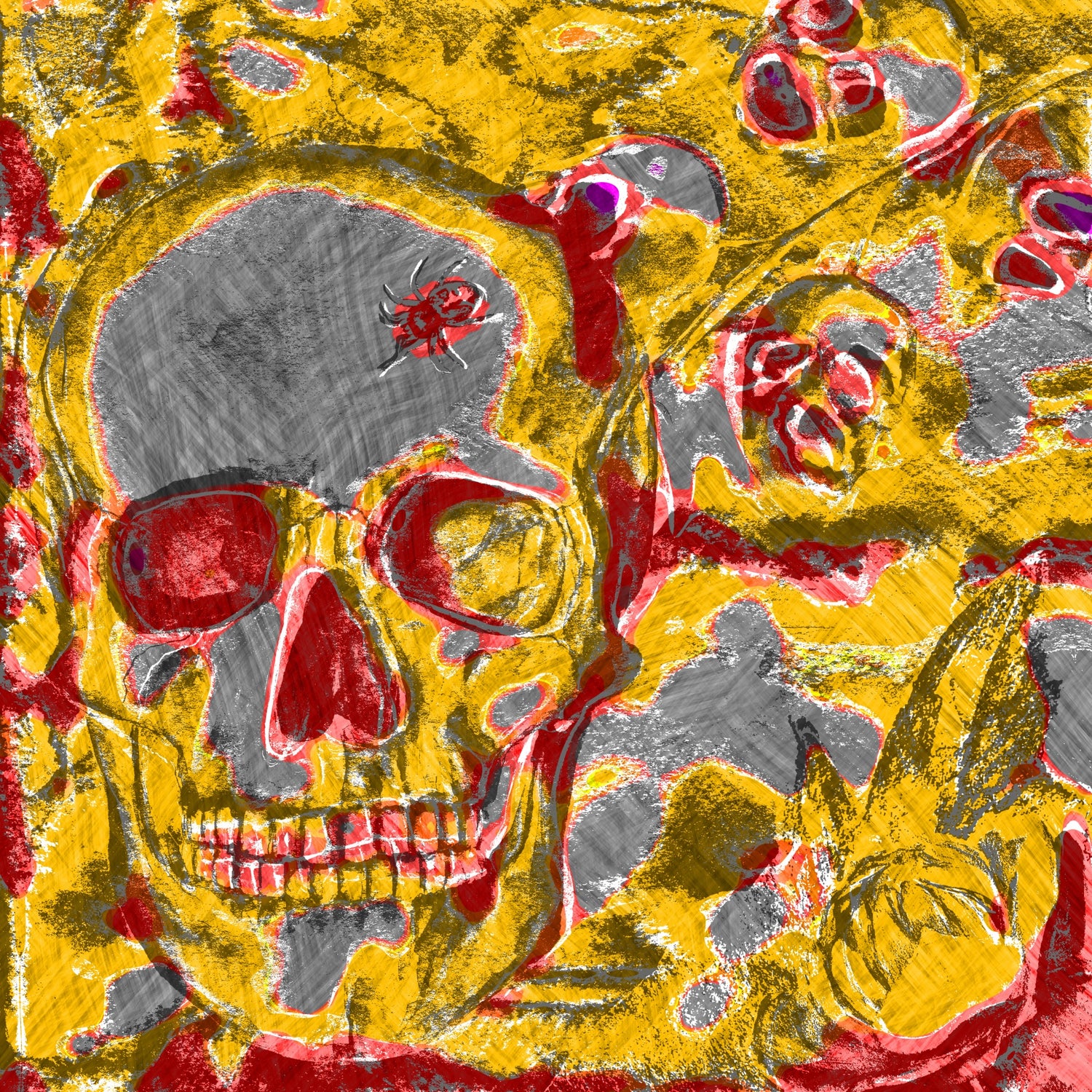 Skulls